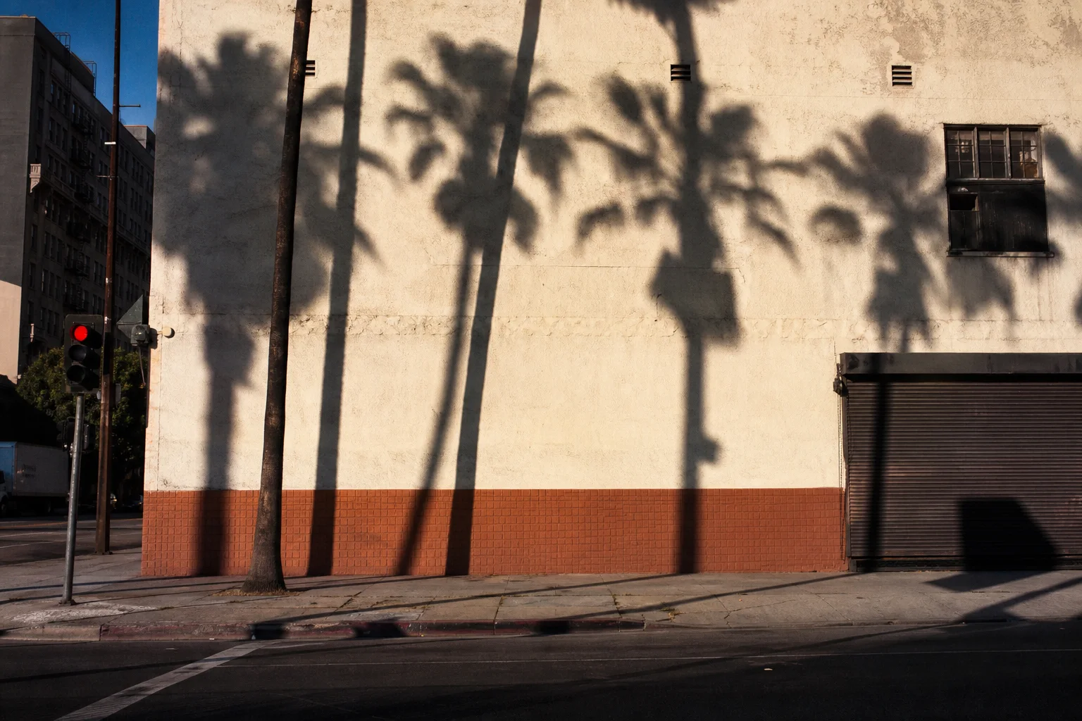 Palm-tree shadows stretching across a pale Los Angeles wall
